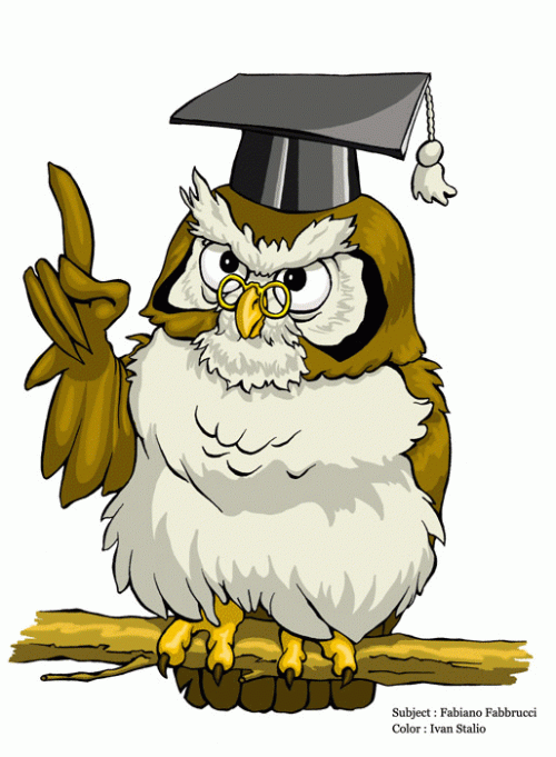 graduate student owl